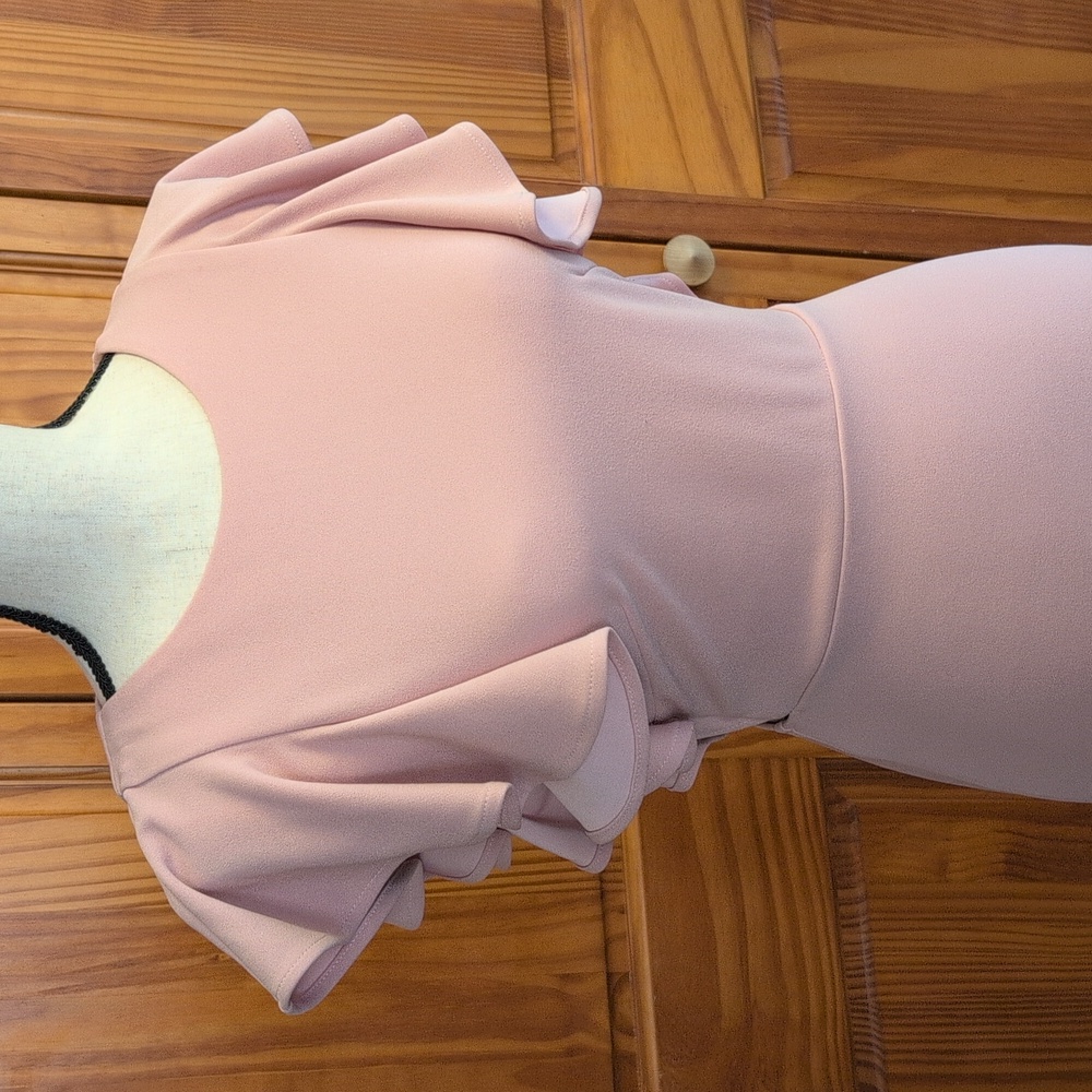 Hello Molly Take Chances Blush Dress Size 6 - Picture 4 of 9